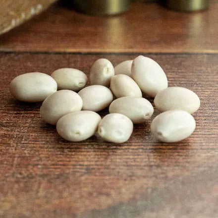 Unwins Lupin Russell Mix Seeds