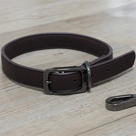 Luxe Leather Jet WalkAbout Dog Collar