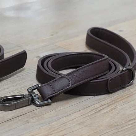 Luxe Leather Jet WalkAbout Dog Lead (120 x 2cm)