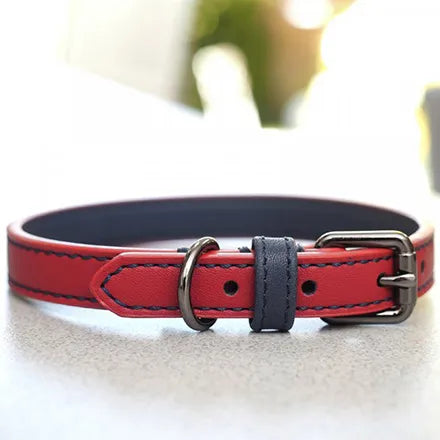 Luxe Leather Ruby WalkAbout Dog Collar