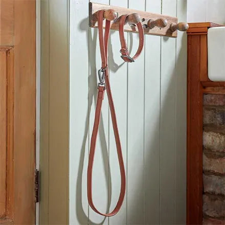 Luxe Leather Tan WalkAbout Dog Lead (120 x 2cm)