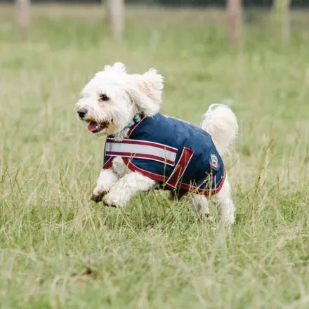 Mackey Buster Dog Coat - Navy/Burgundy 50cm