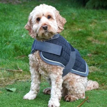 Mackey Thermo Dog Rug - Navy 60cm