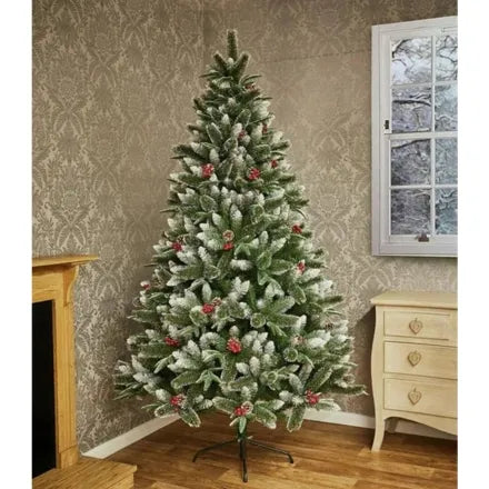 New Jersey Spruce Christmas Tree  8ft / 2.4m