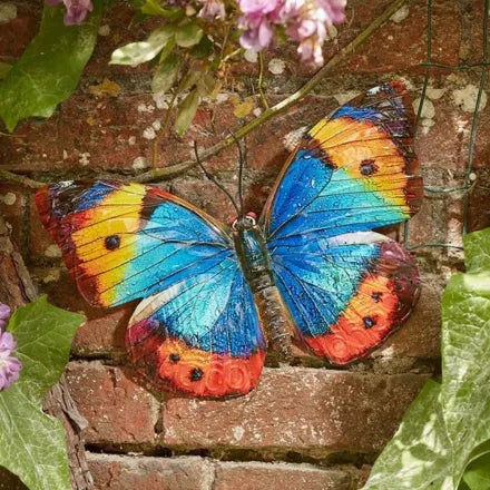Papillon