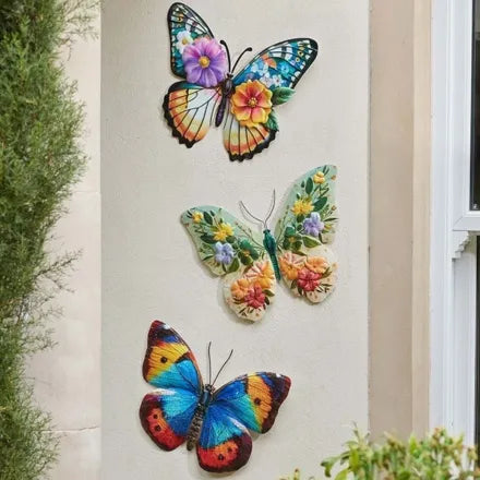 Papillon - Large (Mixed Case)