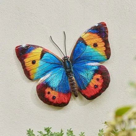 Papillon - Large (Mixed Case)