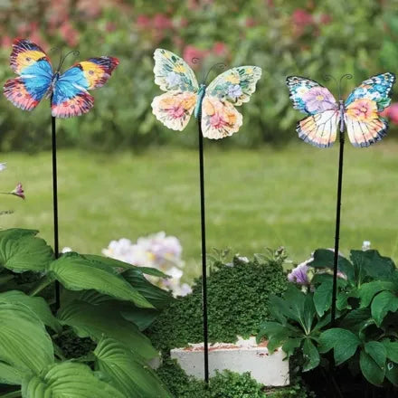 Papillons (Mixed Case)