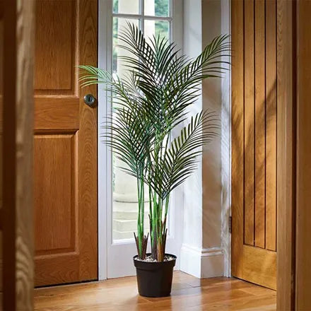 Phoenix Palm Plant 124cm