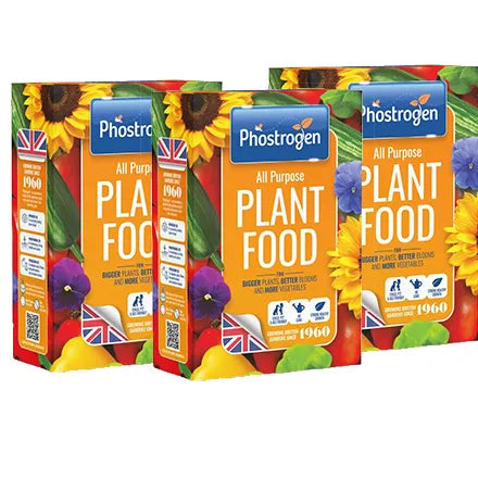 Phostrogen Plant Food 800 Gram