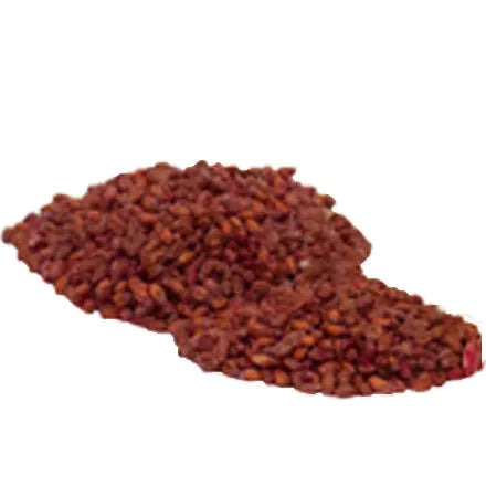 Halt 50 Pied Piper Rat & Mouse Bait Grain 2.5kg