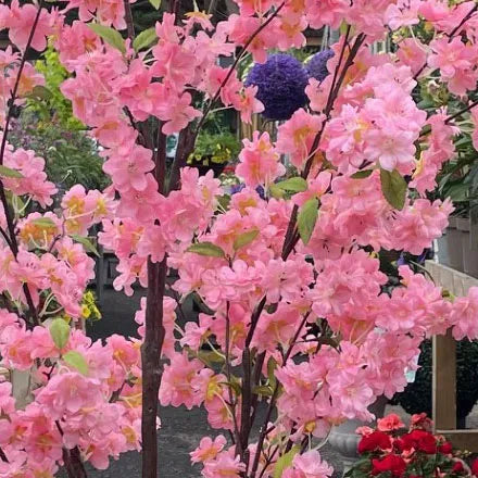 Pink Cherry Tree Faux 170cm