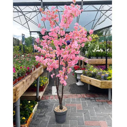 Pink Cherry Tree Faux 170cm