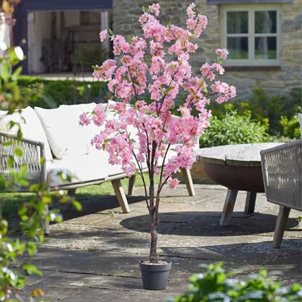 Pink Cherry Tree Faux 170cm