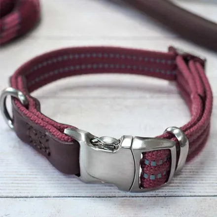 Primo Burgundy Walkabout Dog Collar