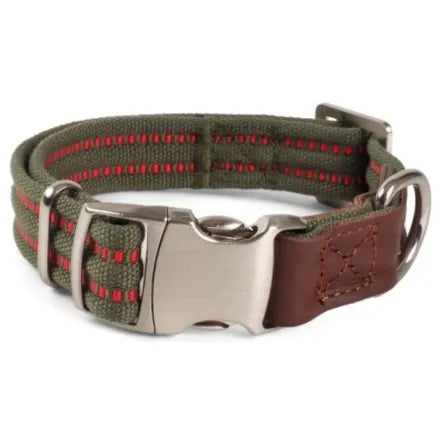 Primo Olive Walkabout Dog Collar L (43cm-71cm)