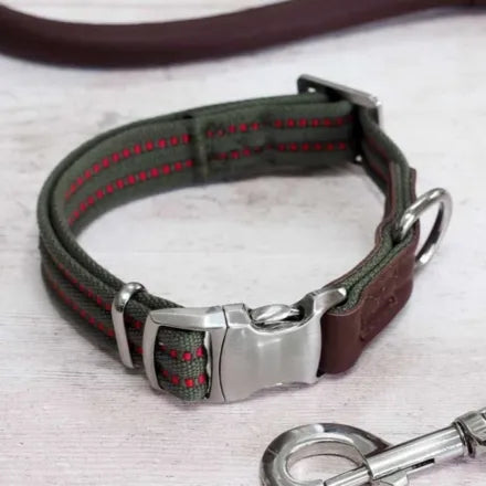 Primo Olive Walkabout Dog Collar L (43cm-71cm)