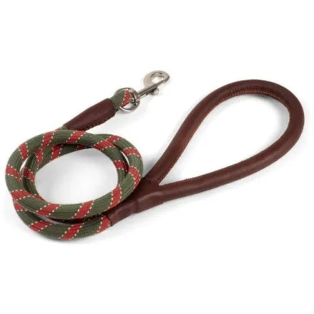 Primo Olive Walkabout Dog Lead (120 x 2cm)