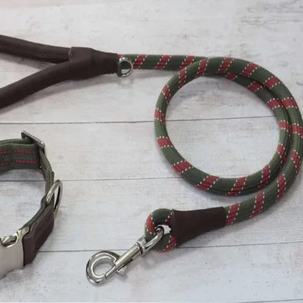 Primo Olive Walkabout Dog Lead (120 x 2cm)