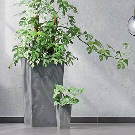 Prosperplast Urbi Square Beton Effect Planter 195mm Anthracite
