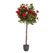 Regent's Roses Red