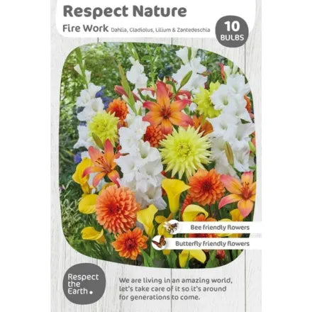 Respect Nature Fire Work X10