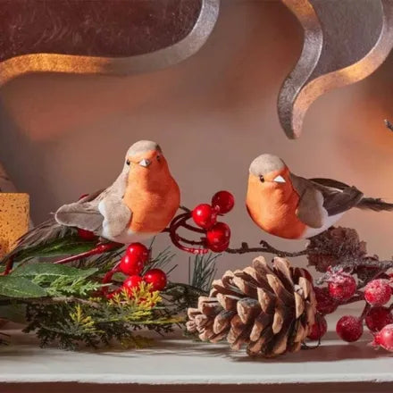 Robin Decor 2pk