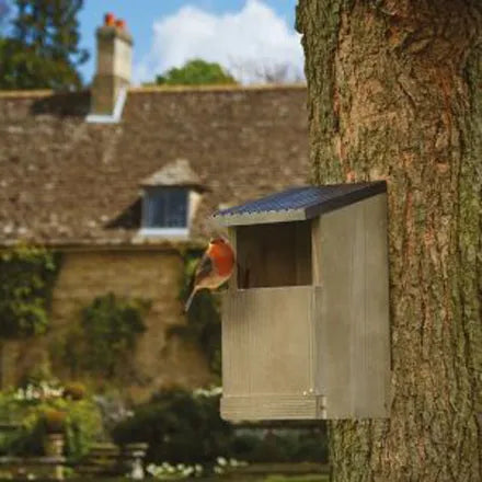 Peckish Robin Nest Box