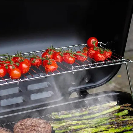 Sahara Rapid Assembly BBQ