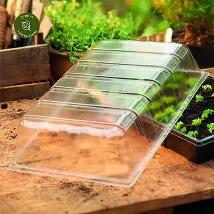 Standard Seed Tray Lid
