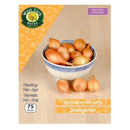 Spring Onion Sets ' Stuttgarter '
