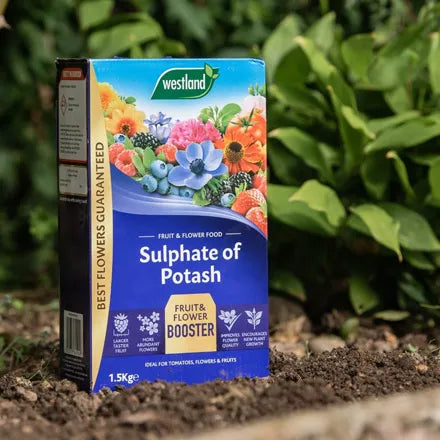 Westland Sulphate of Potash 1.5 kg