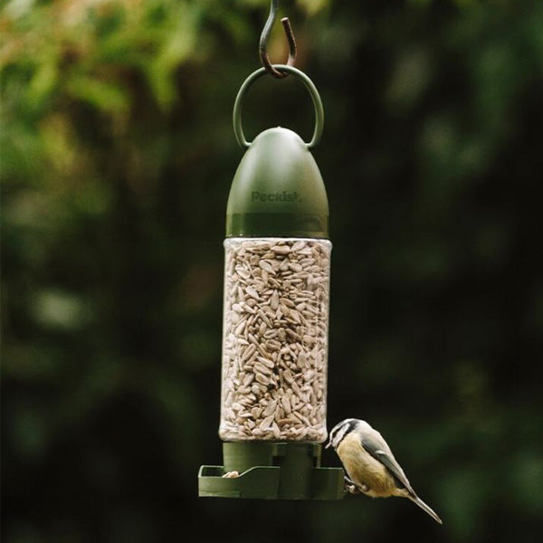 Peckish Sunflower Hearts Ready to Use Feeder 400g