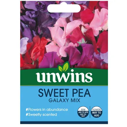 Unwins Sweet Pea Galaxy Mix