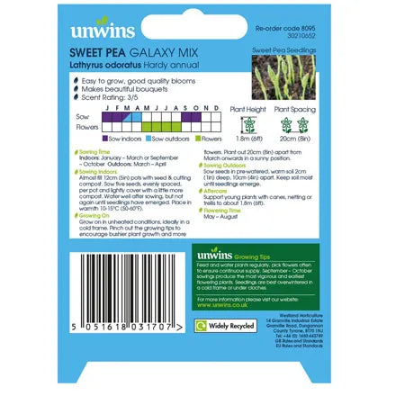 Unwins Sweet Pea Galaxy Mix