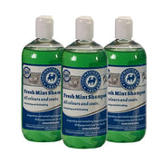 TM Fresh Mint Shampoo 500ML