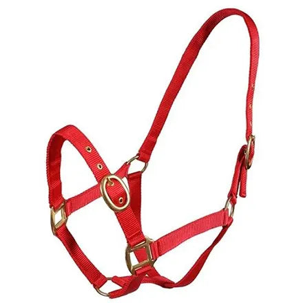 TM Nylon Halter(BP) pony Navy