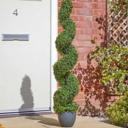 Topiary Twirl Garden Tree