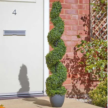 Topiary Twirl Garden Tree