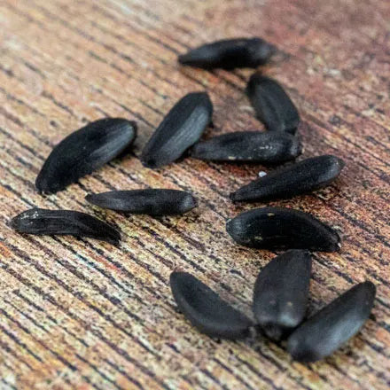 Unwins Sunflower Toy Shop Seeds