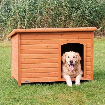 Natura Flat Roof Kennel