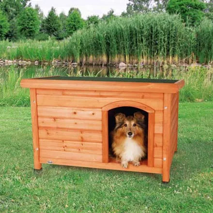 Natura Flat Roof Kennel