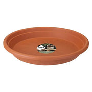 Universal Saucer Terracotta