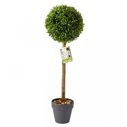 Uno Topiary Tree 30cm