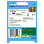 Unwins Antirrhinum Giant Rust Resistant Seeds