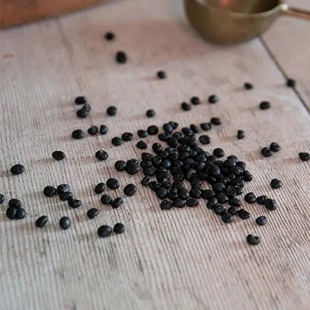 Unwins Asparagus Connover's Colossal Seeds