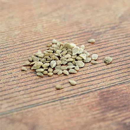 Unwins Beefsteak Tomato Marmande Seeds