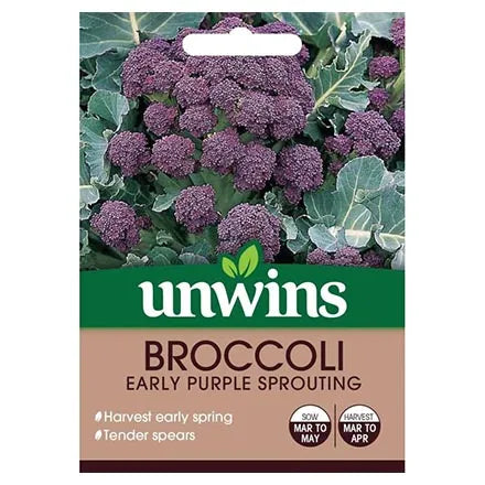 Unwins Broccoli Sprouting Early Purple Sprouting