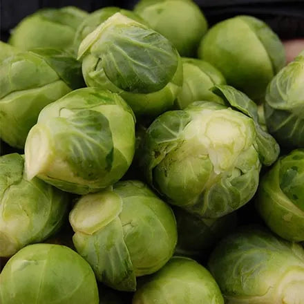 Unwins Brussels Sprout Brenden F1 Seeds