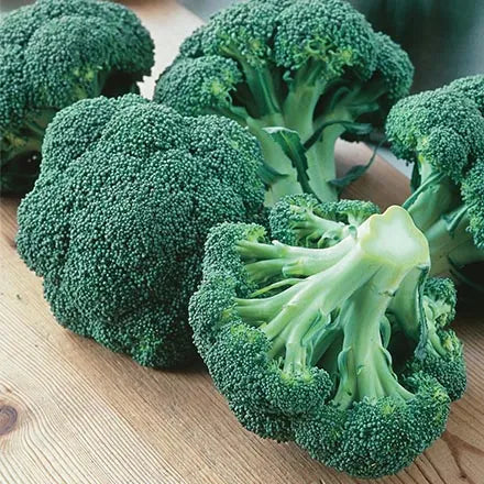 Unwins Calabrese Broccoli Green Magic F1 Seeds